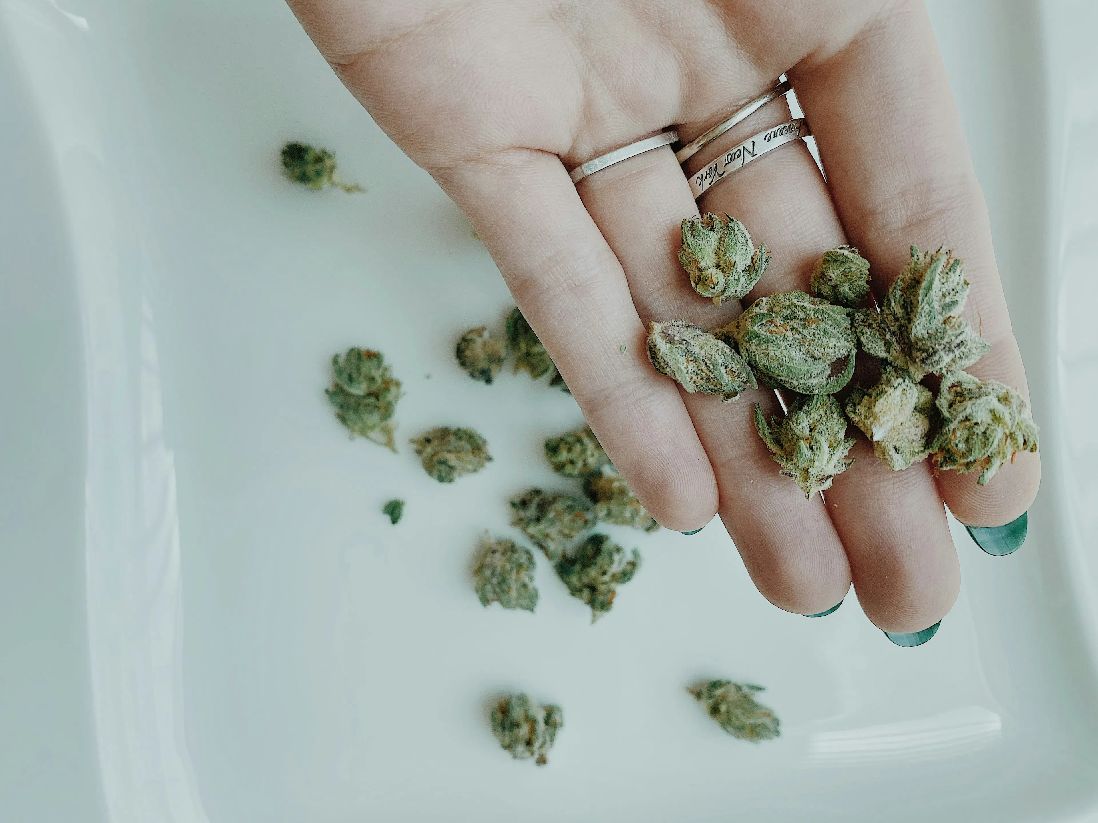 Picture of weed