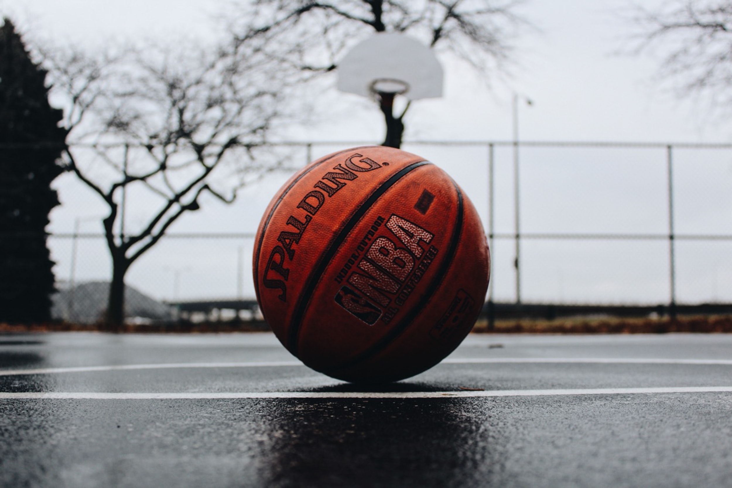 Lille Métropole Basket Club : Célèbre Club Lillois De Basket