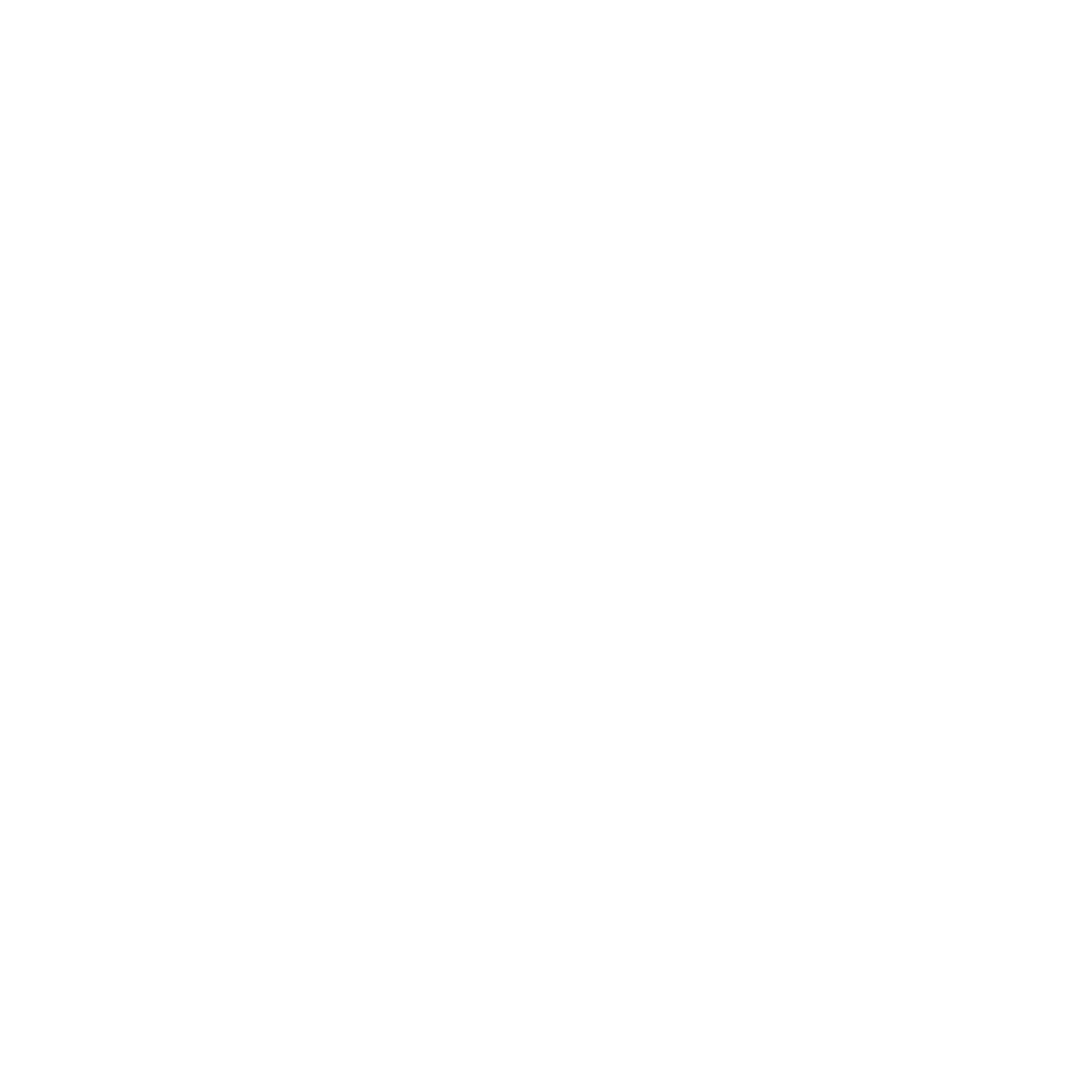 Social icon