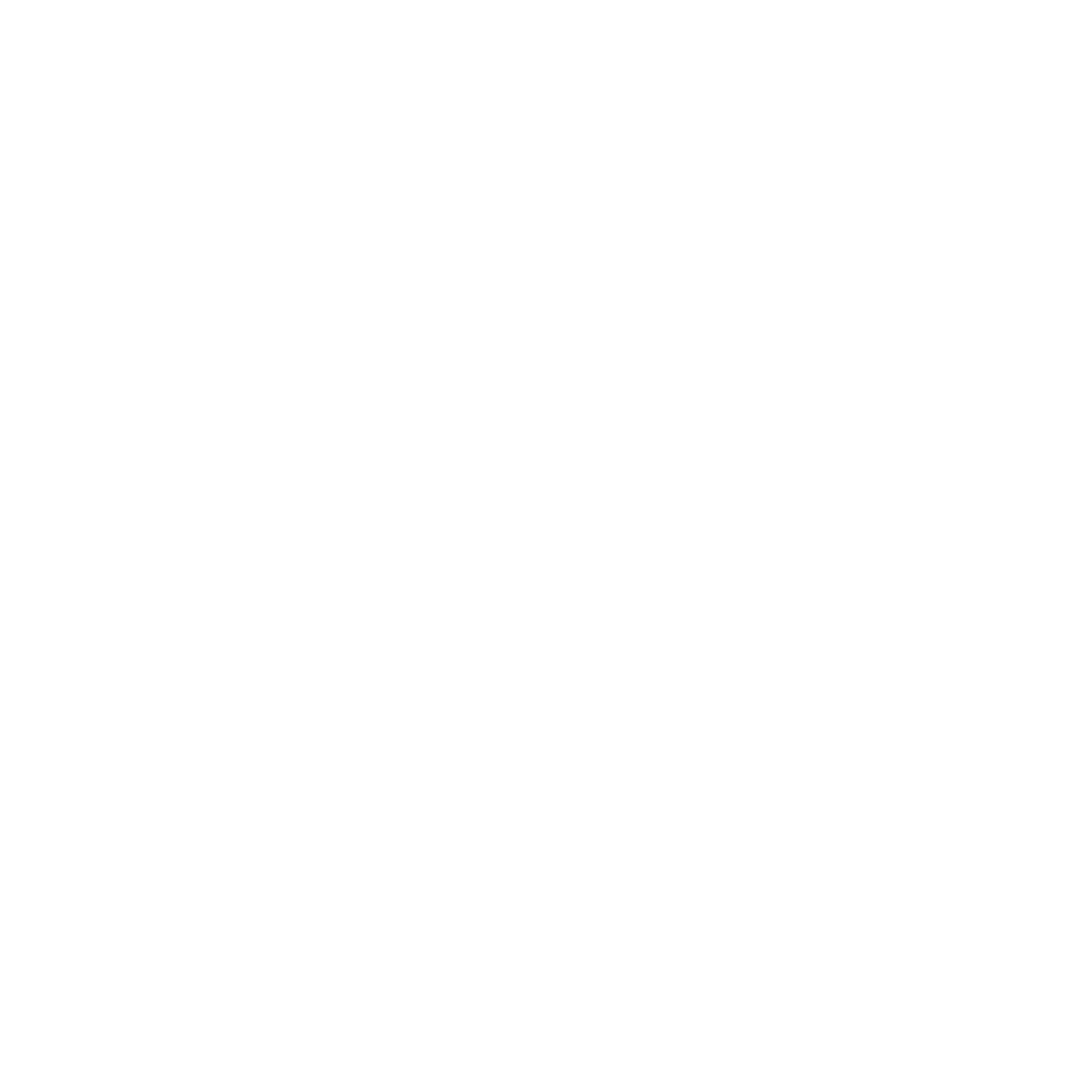 Social icon