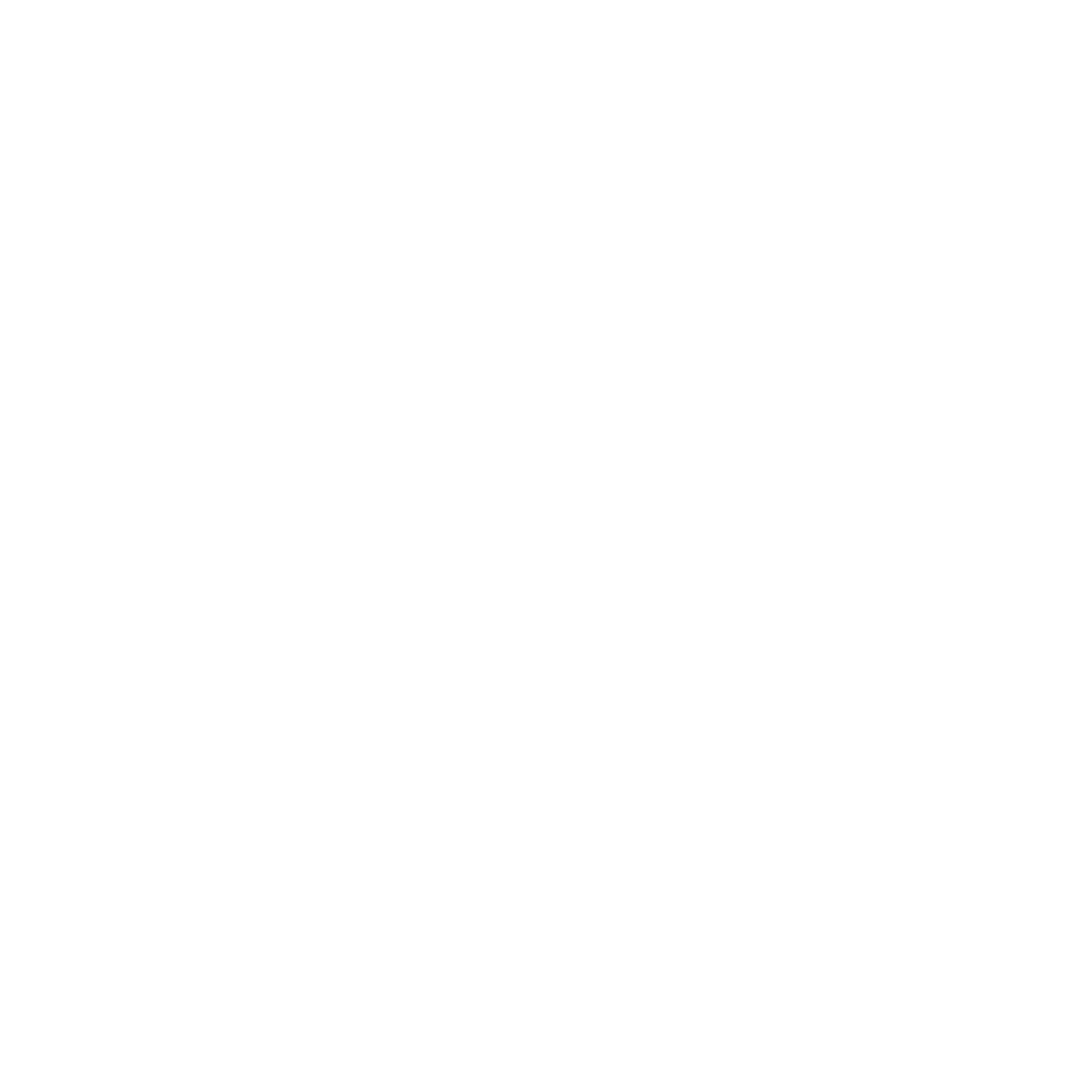 Social icon