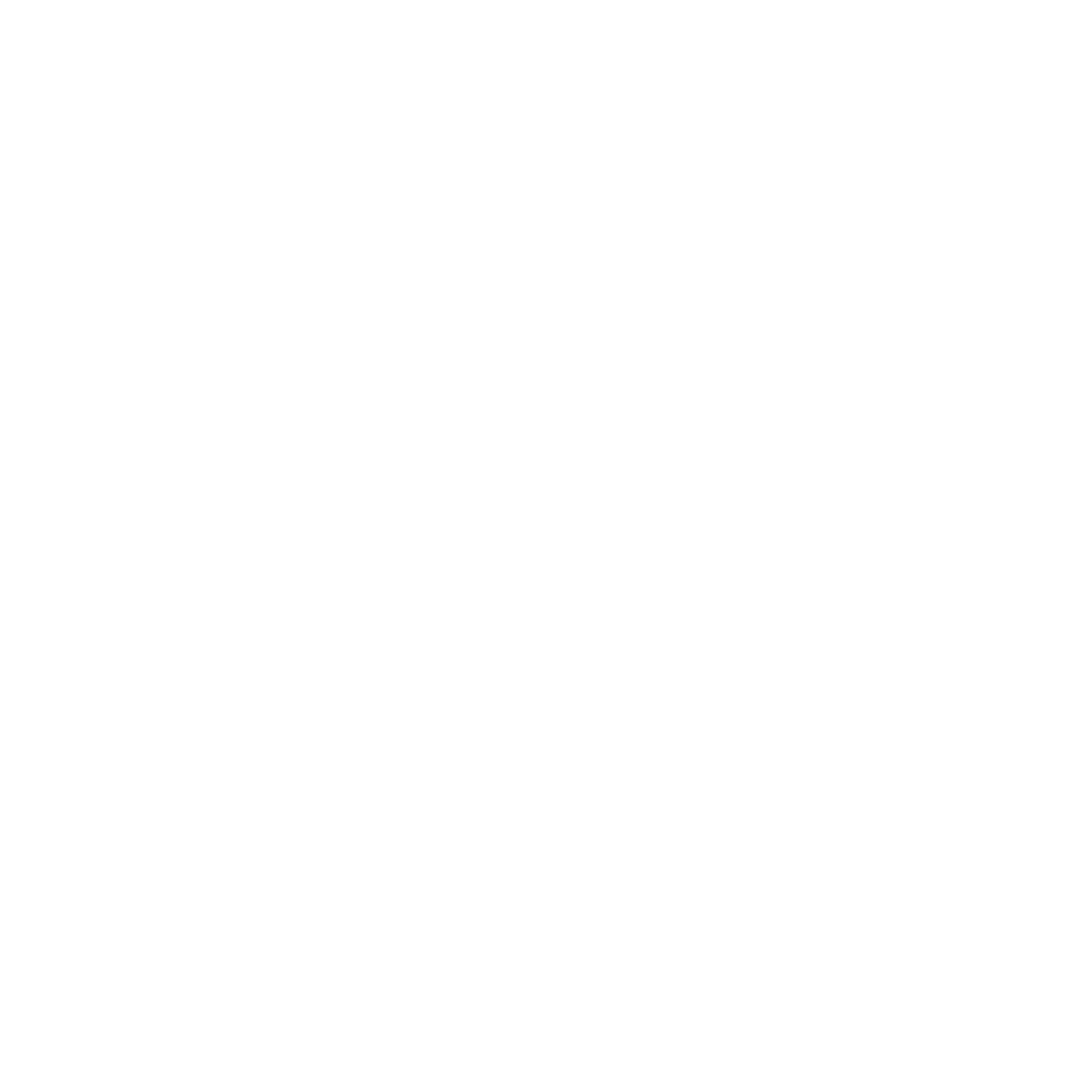 Social icon