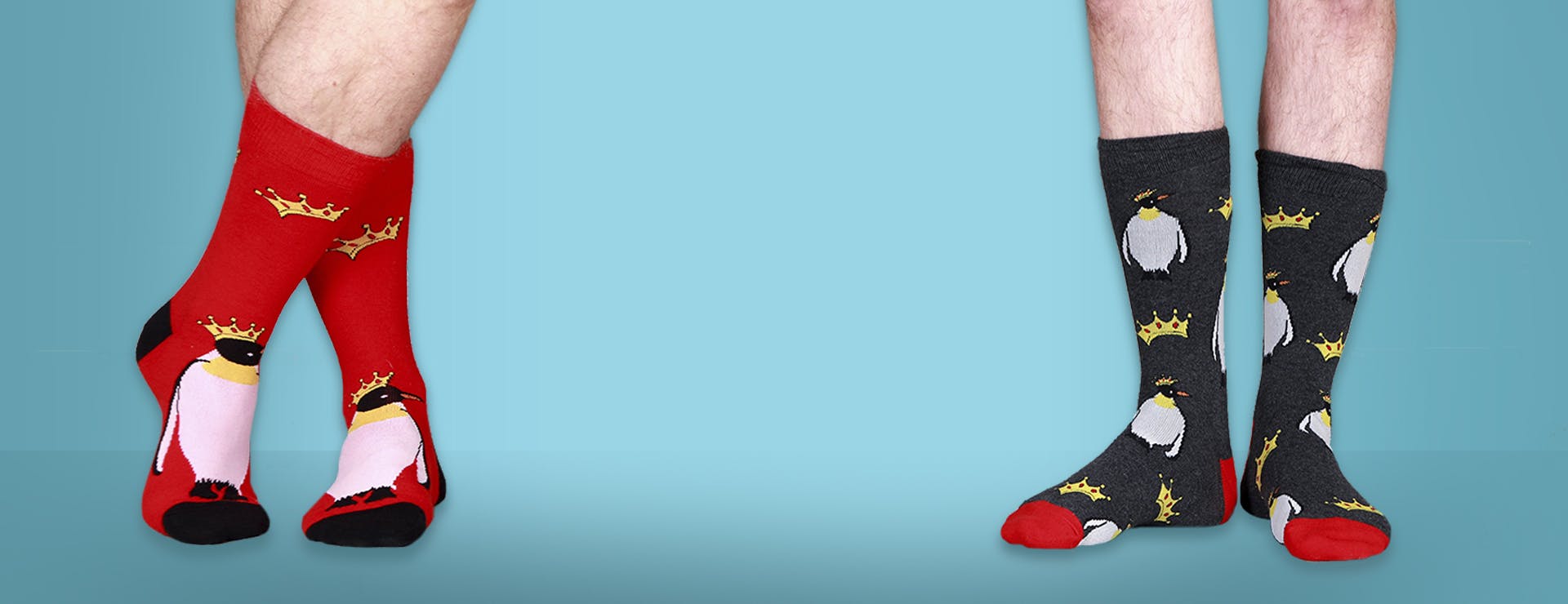 10 wacky and random facts about Socks that will blow your socks off