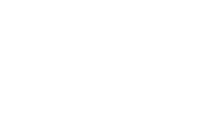 Wild Feet