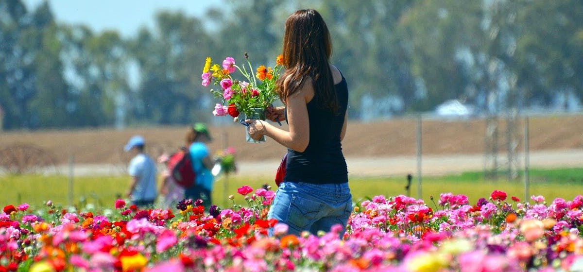 woman picking flowers during warm weather