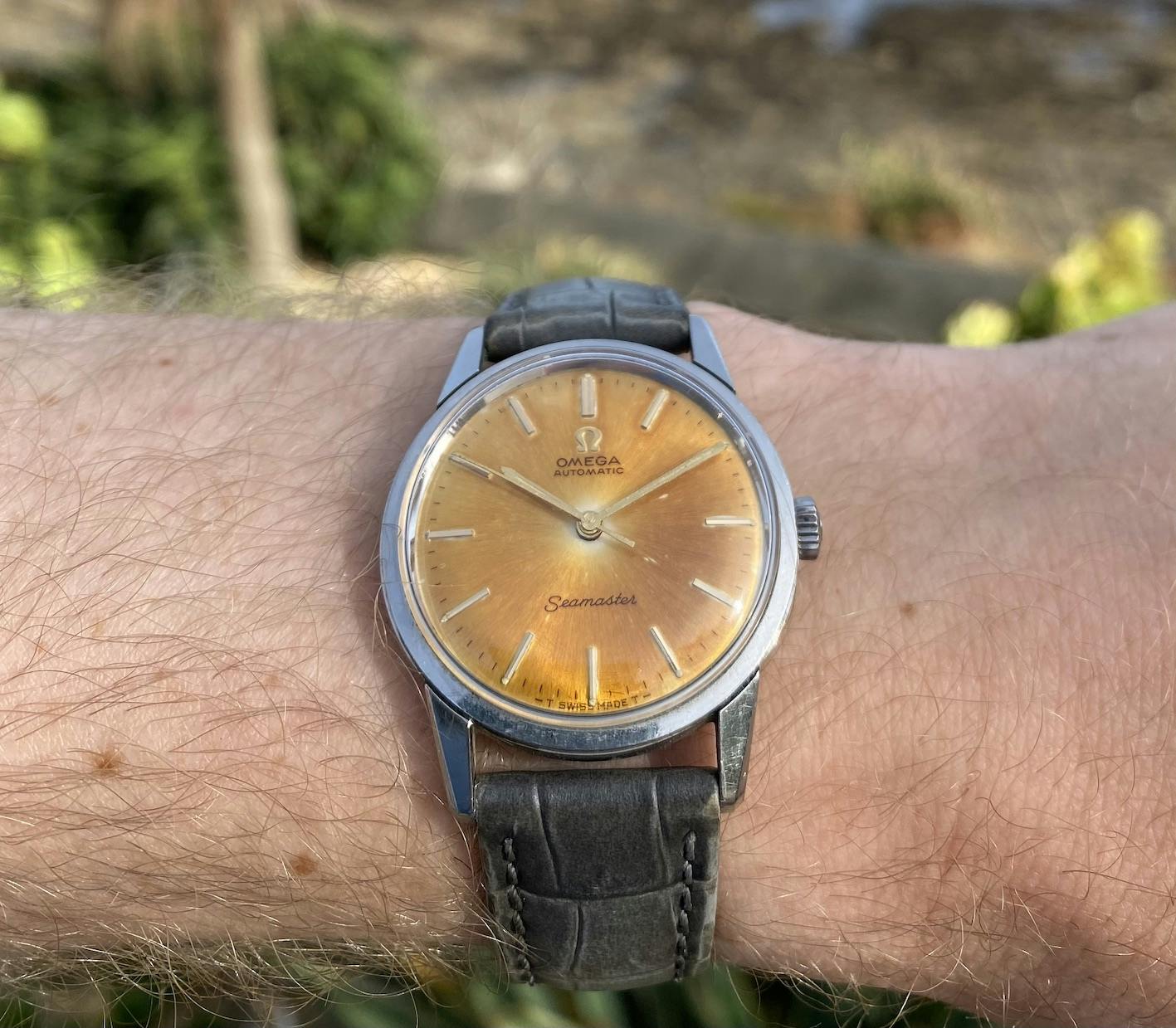 The Watch Collectors Club Guide to Buying A Watch Online The Watch