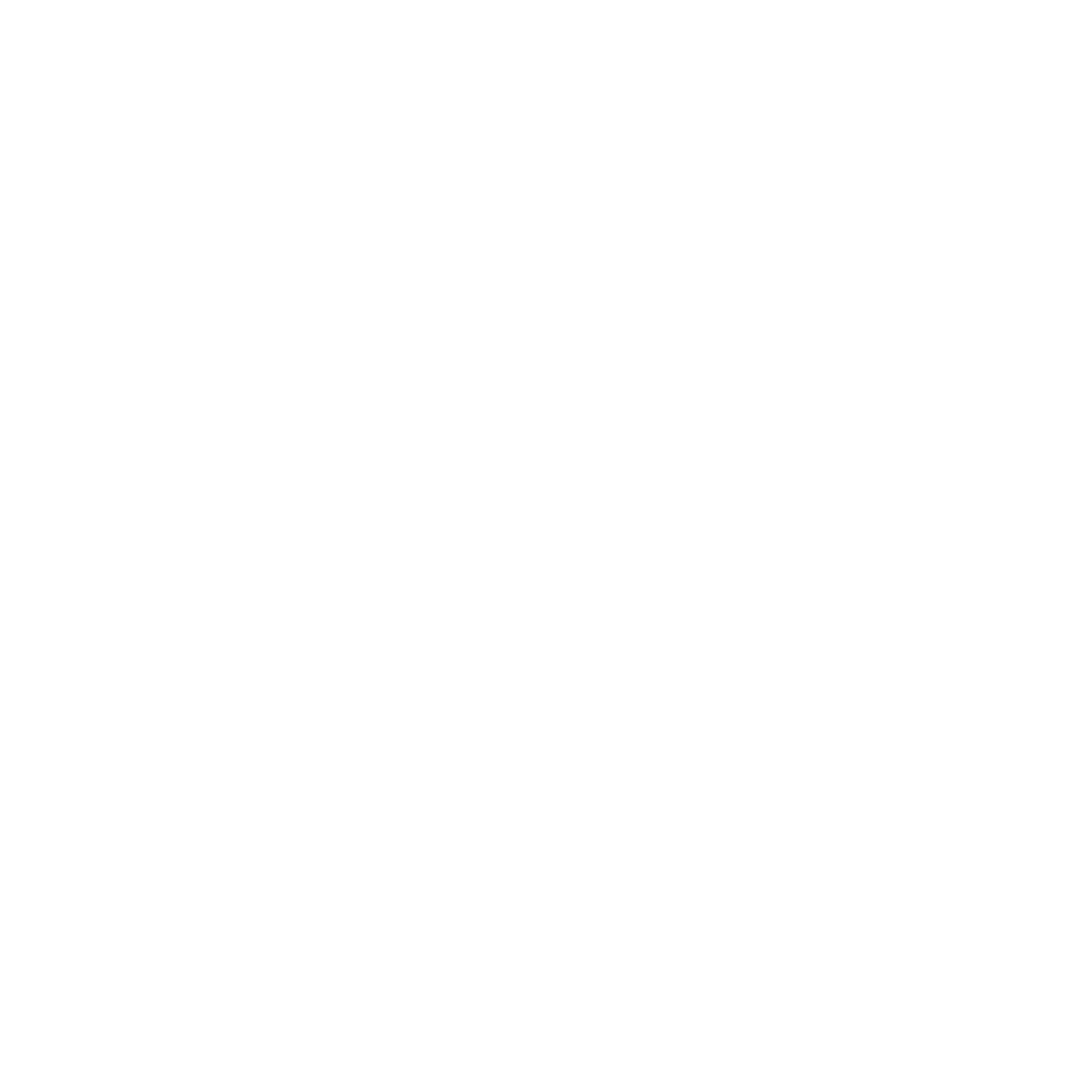 Social icon