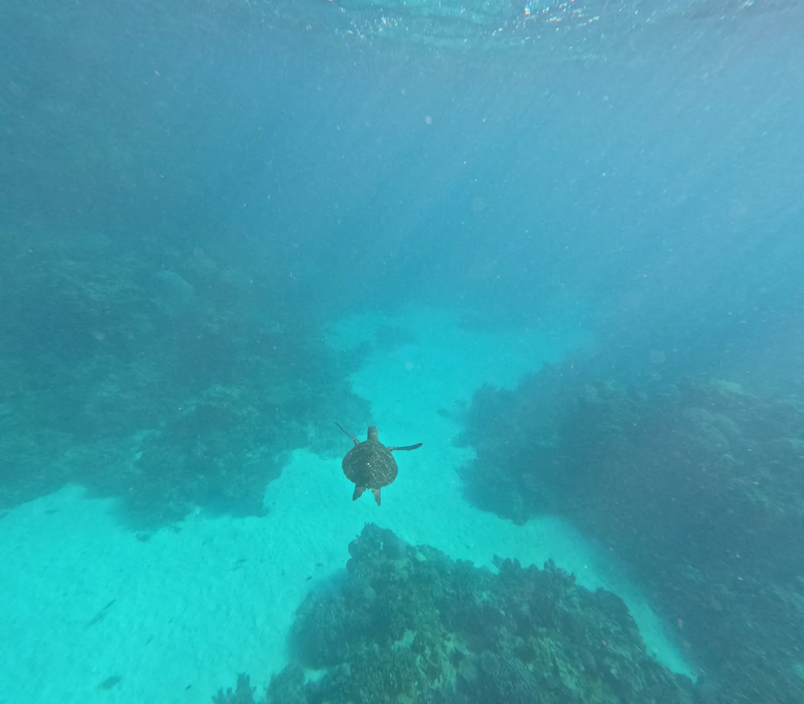 Bob's photos from the go-pro 😝