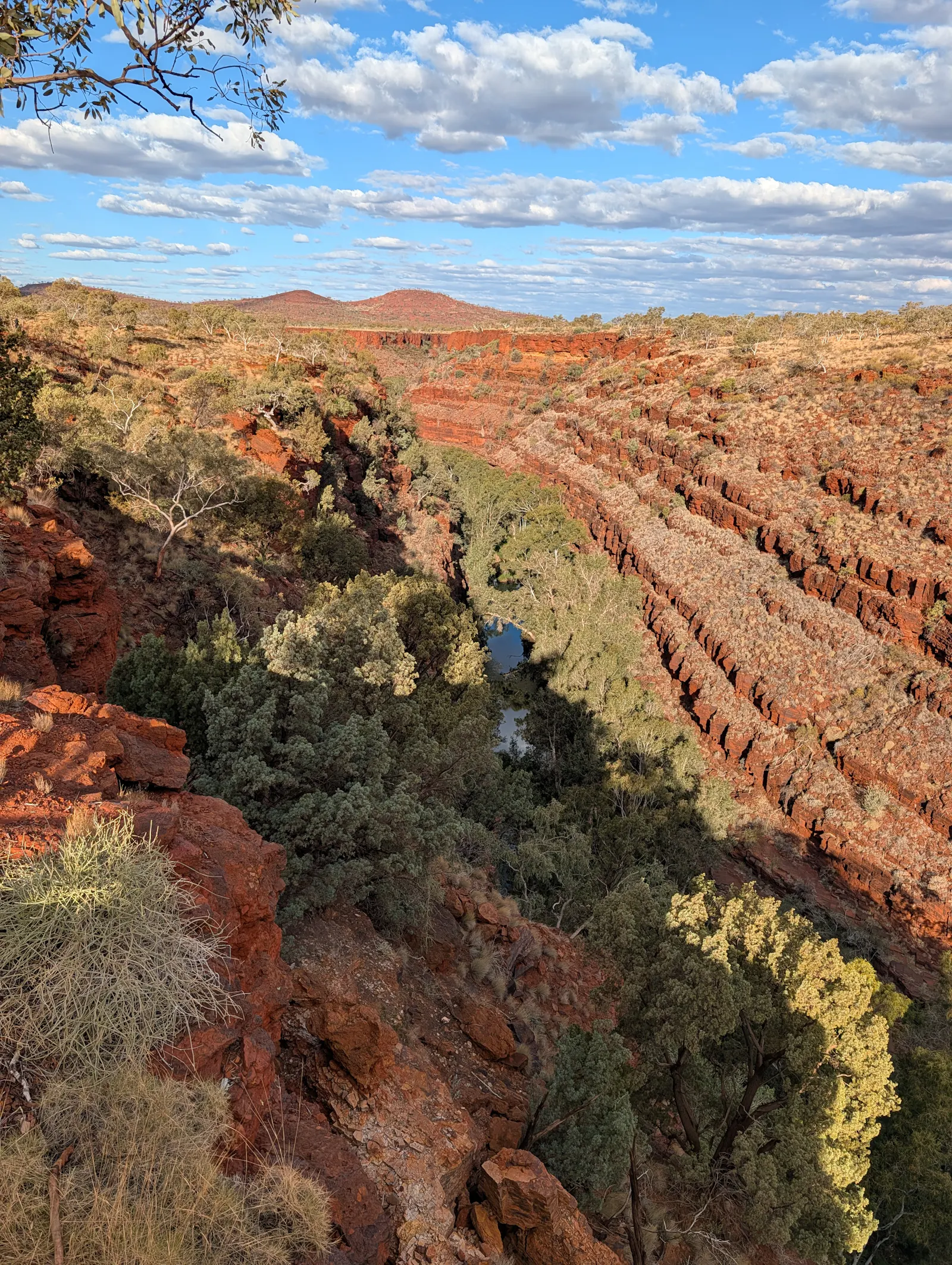 The gorge from above.