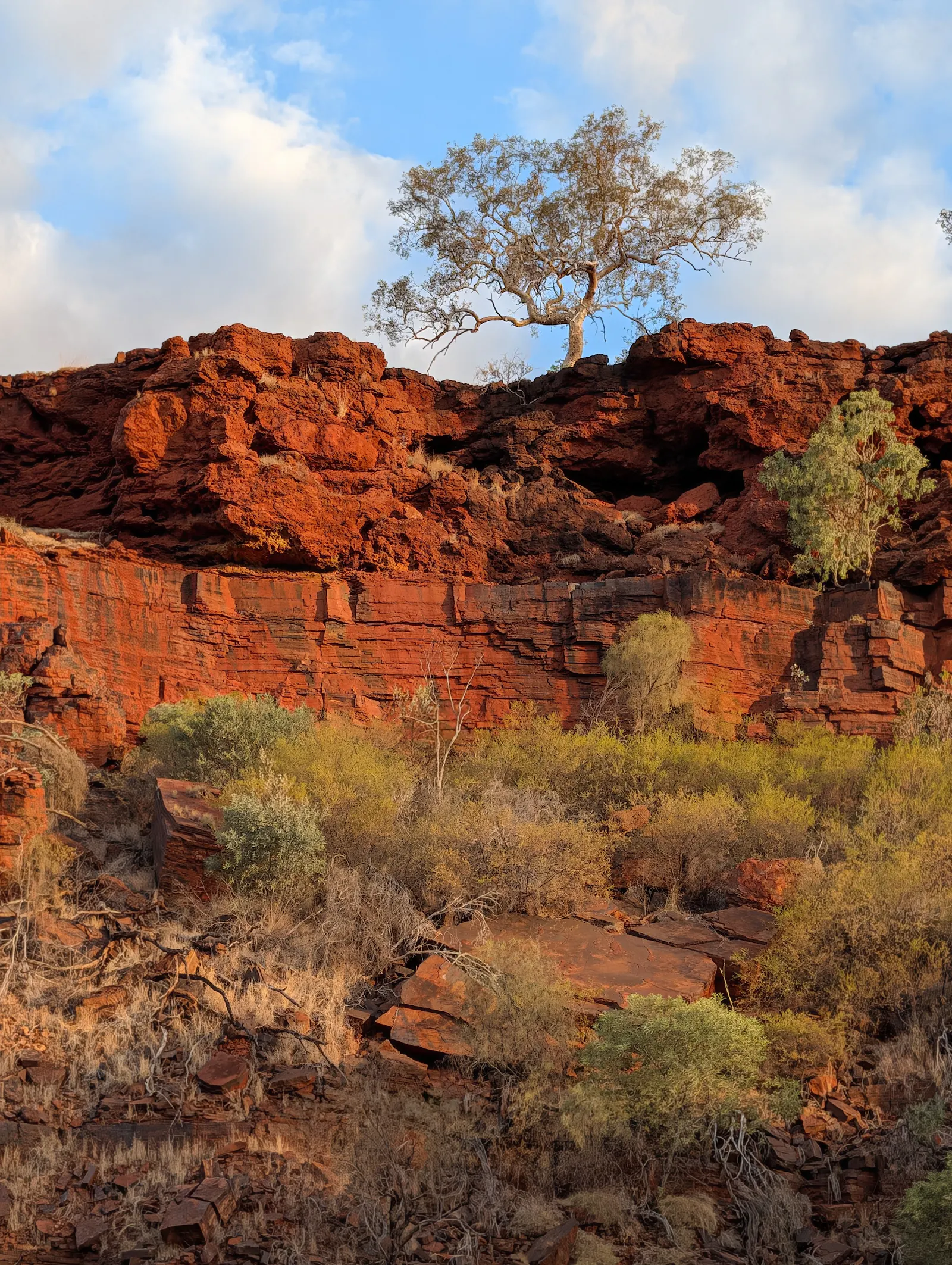 The sun was setting as we emerged out of the gorge, which gave us some gorgeous golden hour lighting.