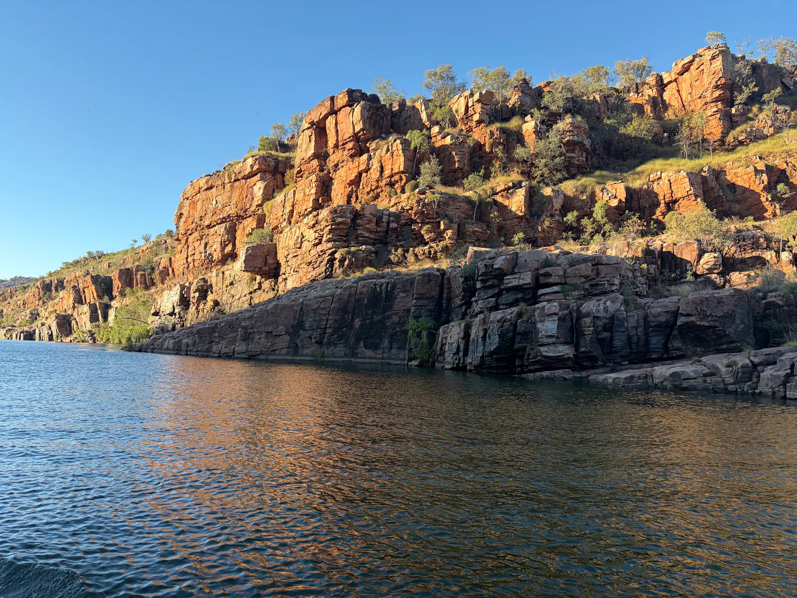 We were assured there were rock wallabies on this amazing stretch of almost sheer cliff face, but no sightings for us that day, much to the dismay of the lone Kiwi on the boat.  