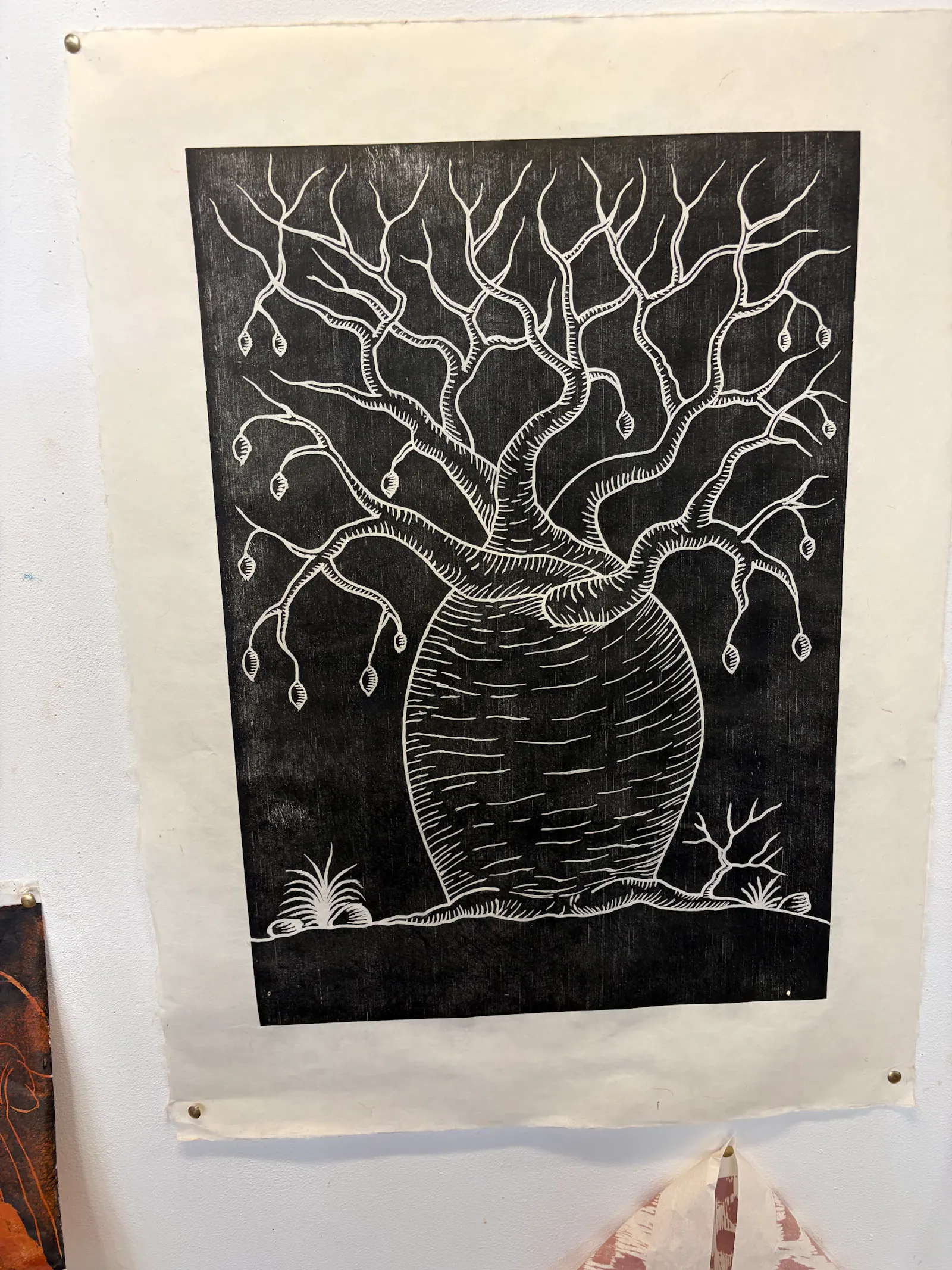 The boab trees provide almost endless inspiration for artworks in the Kimberly.