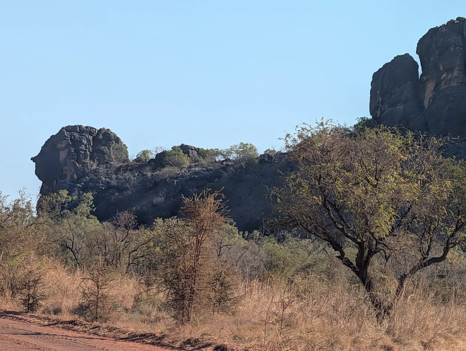 On the drive we saw a sign for Queen Victoria's Head, then looked to the right just in time to see this rock, which does indeed look like Queen Victoria! So funny!!