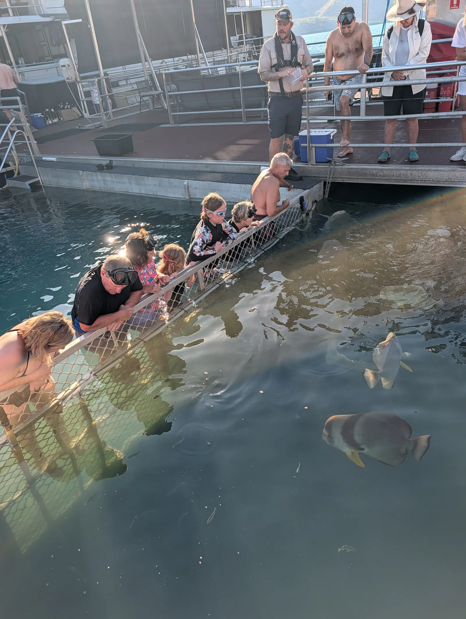 Here we are checking out some big flat fish which I can not find the name of for the life of me but were SO cool. 