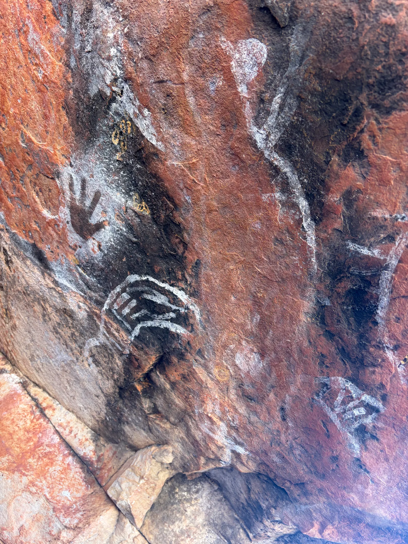 Here is the remnants of a large crocodile(you can still see the tail, legs and arms, but the head has faded) on a low to the ground overhanging rock, along with more recent handprints. 