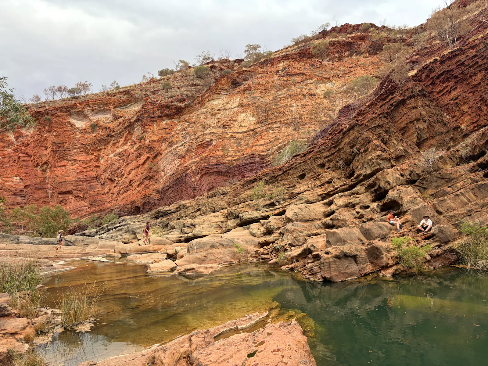If you look closely you can see Bob on the far side of the pool in amongst the rocks.