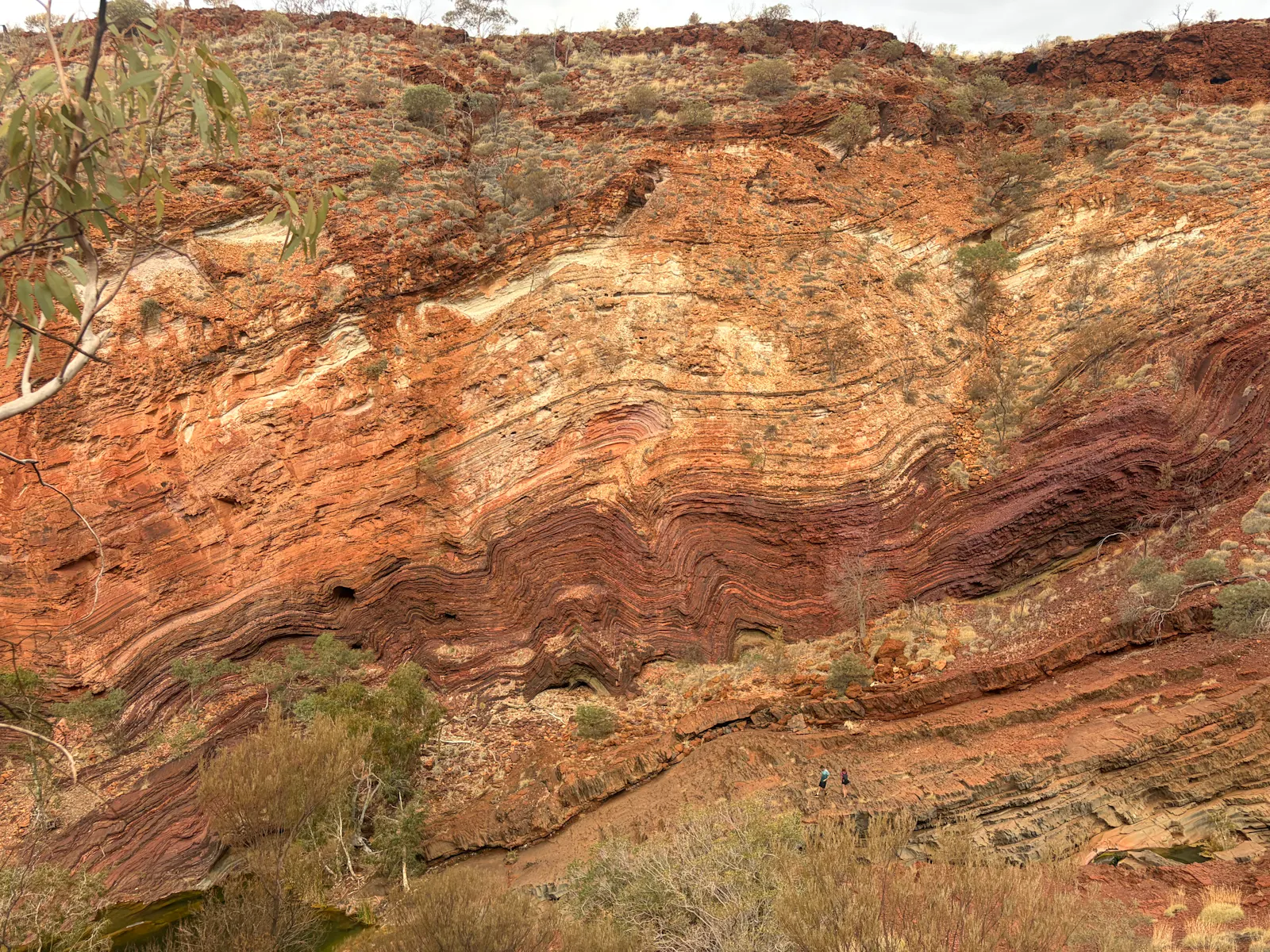 The colours in the walls of the gorge were just phenomenal!