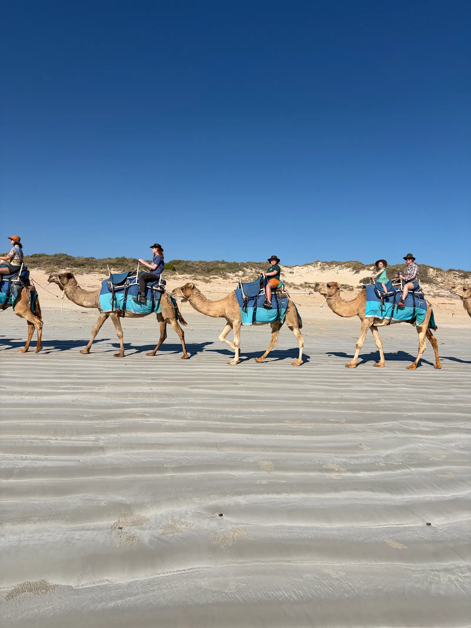 It was a lovely experience but my old sore right hip did NOT appreciate it, nor the long walk back down the beach to get back to the cane π΅π©Ό.