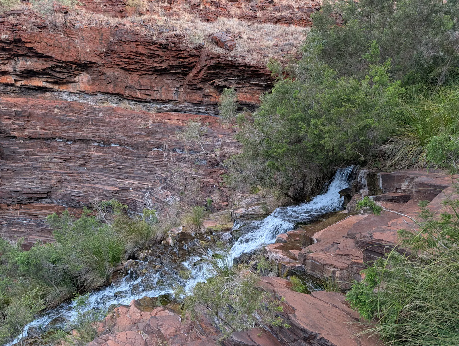 Up close to this waterfall was a true aural feast - there was melodic tumble of the falling water, the wind through the leaves of the gorgeous trees surrounding us, plus the chorus of frogs hiding in the surrounding vegetation.