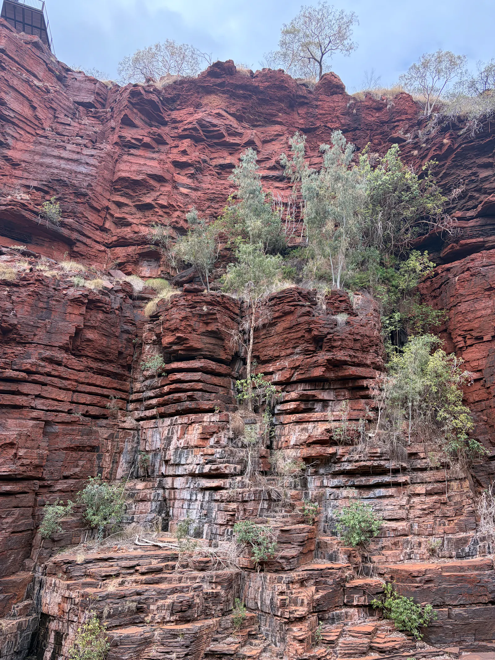 The clearly defined layers of rock in the walls of the gorge were truly astounding.