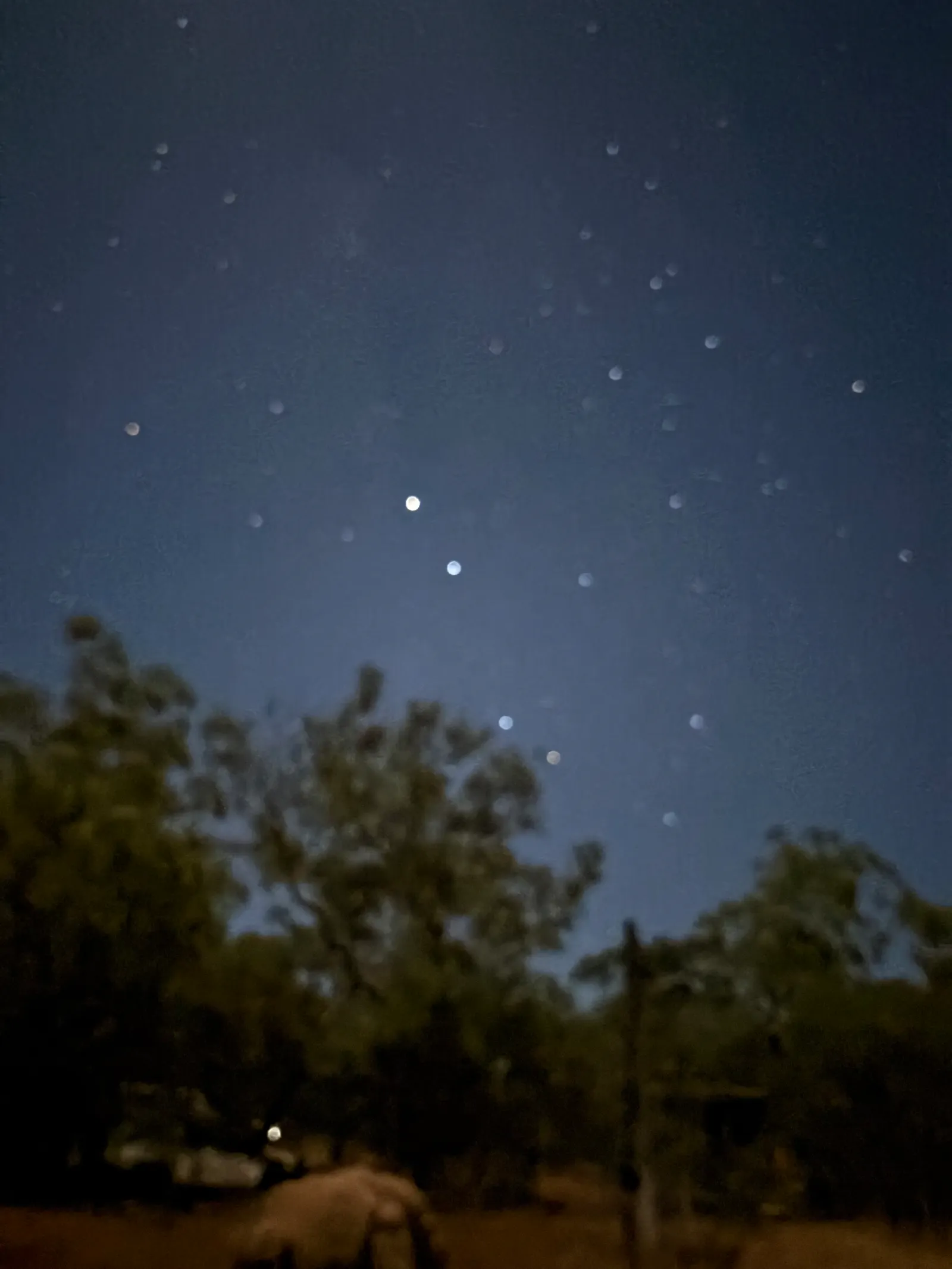 Amazing stars in the night sky.