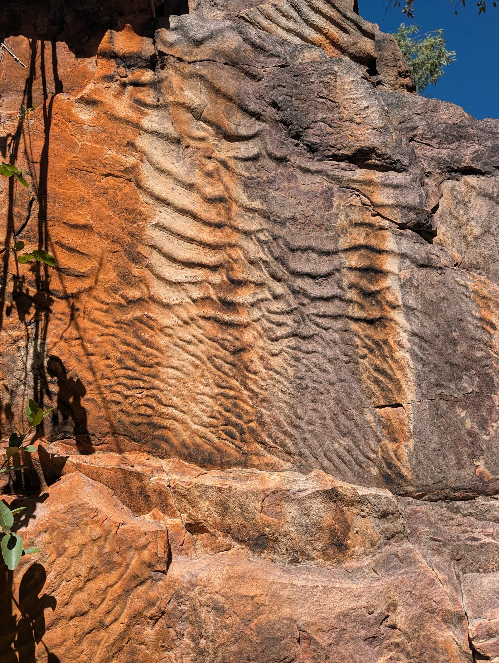 Along the way we saw lots of amazing rocks with ripples that were formed created when sediment was deposited under shallow tidal waters millions of years ago.