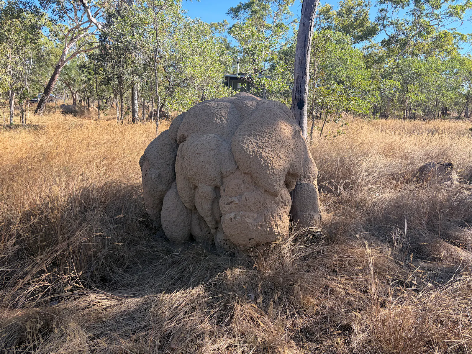 The girls were sad to say goodbye to 'brain rock', a termite mound just across from our campsite. 