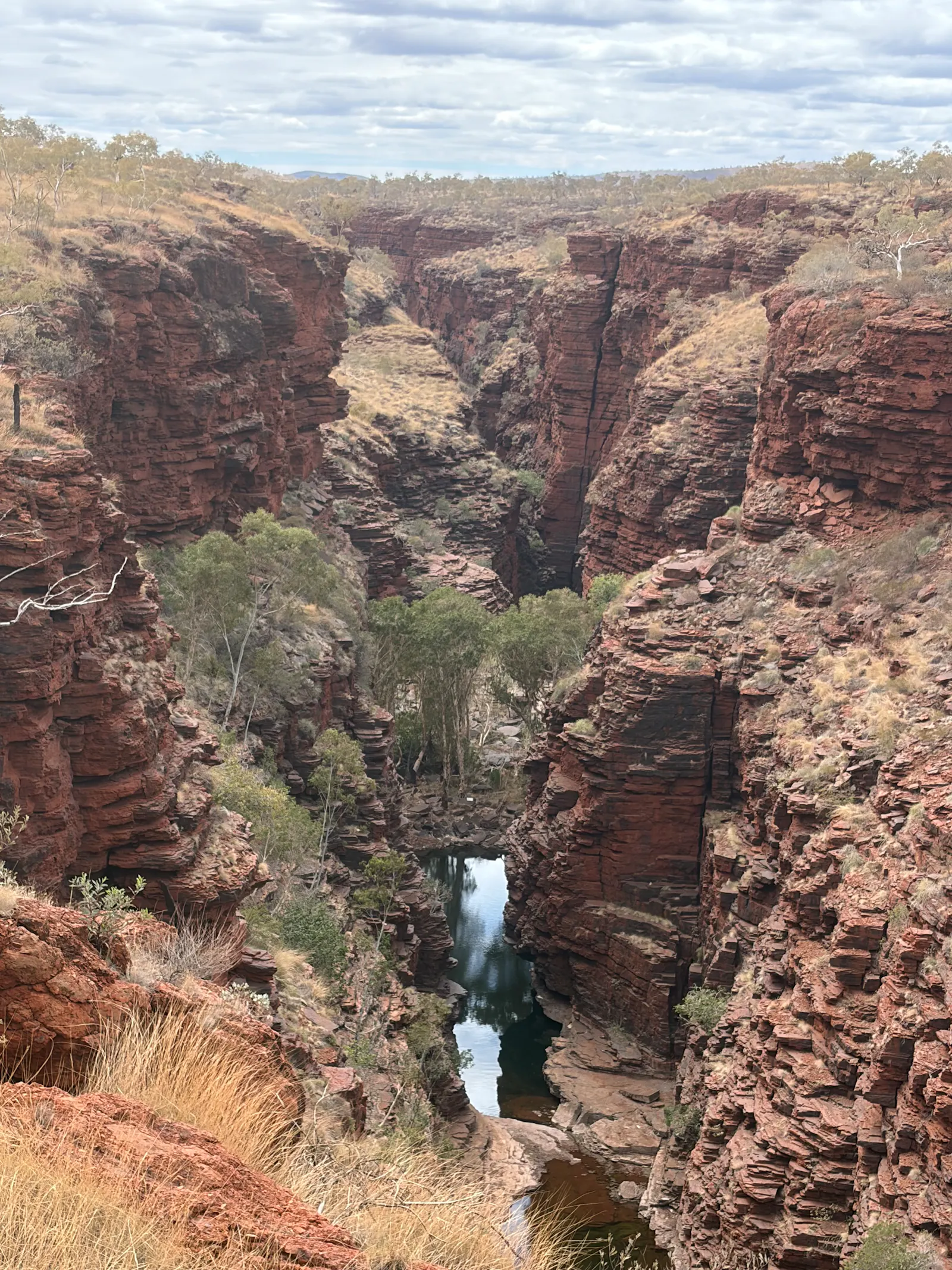 It was pretty spectacular from the top!
