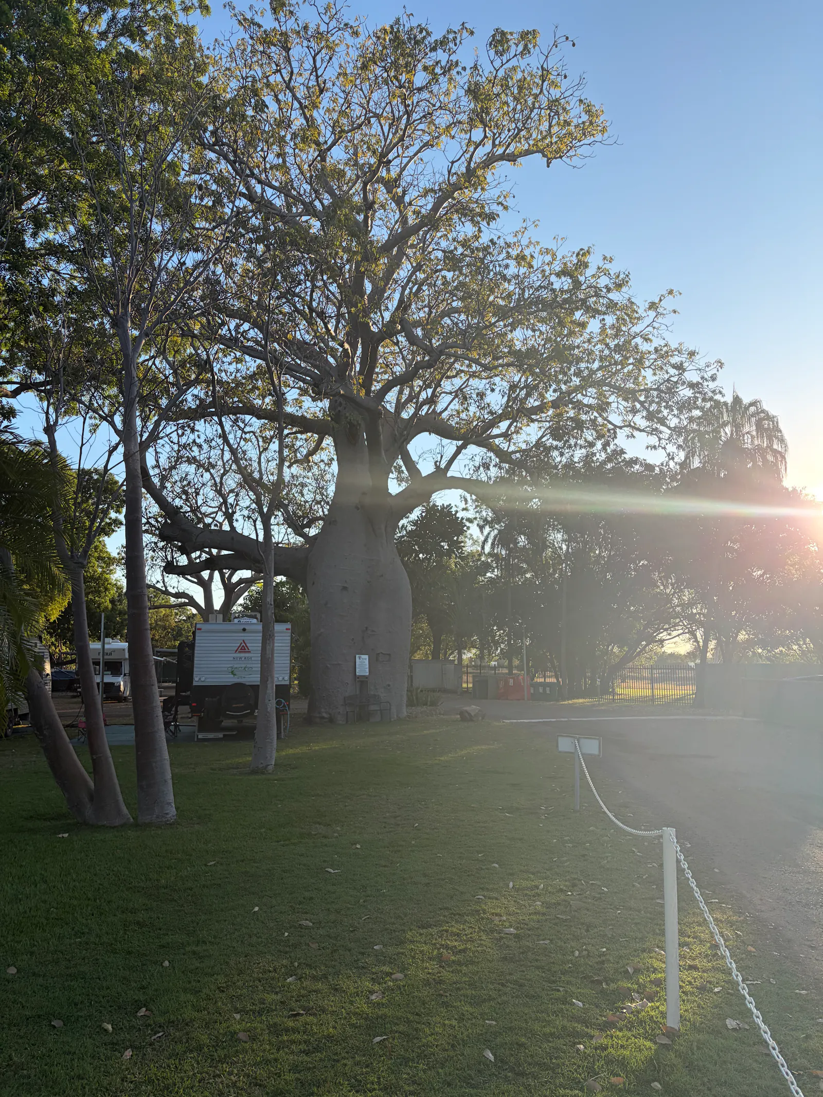 When we returned to the caravan park Nora and I attempted some of our own art inspired by Bo Boab, the oldest boab in the park which might be as old as 2,000 years old, according to the sign in front of it.