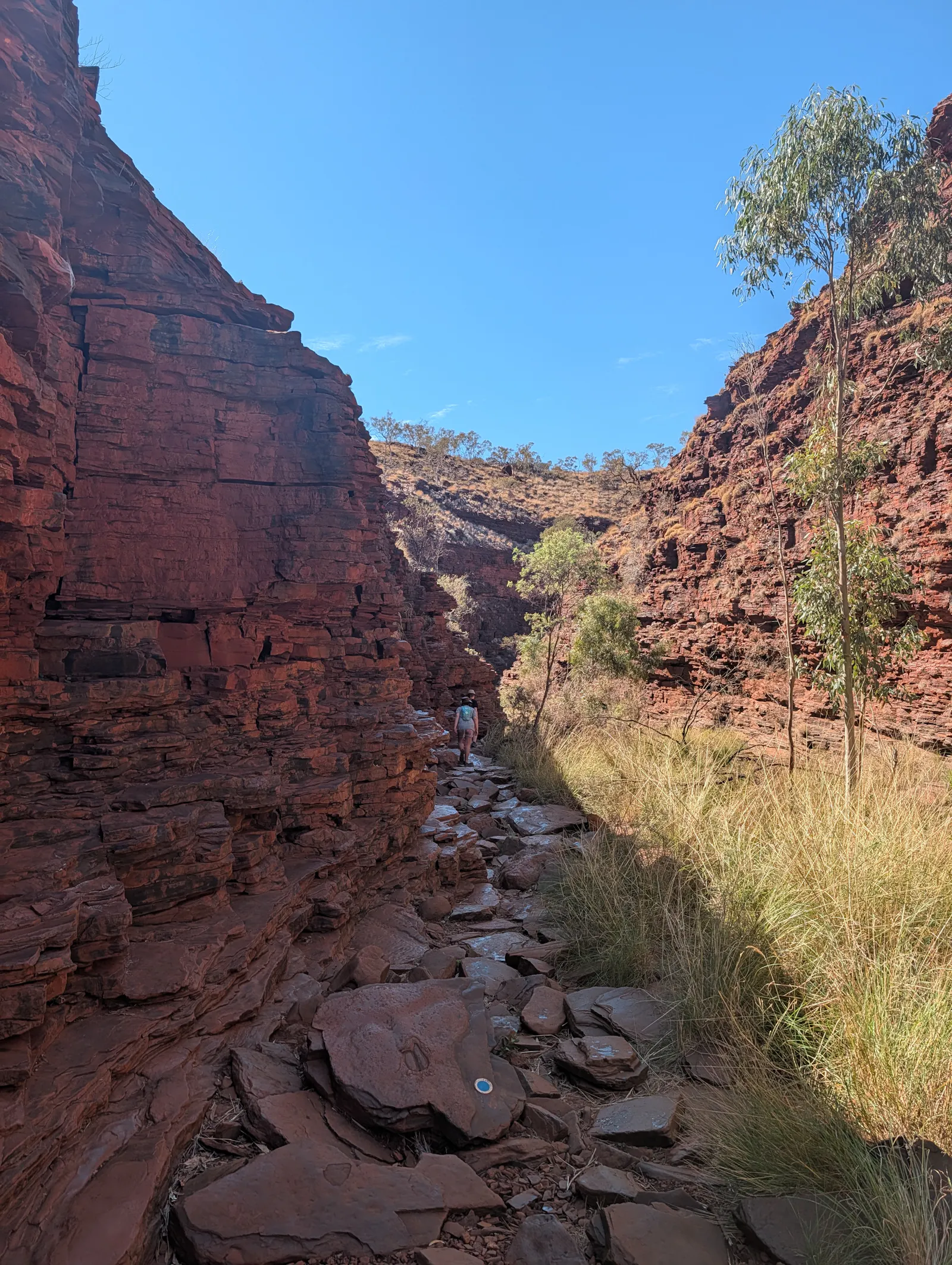 Once we hit bottom of the gorge we started travelling along the waterway, which at this stage was pretty narrow and shallow, so easy enough to walk alongside.