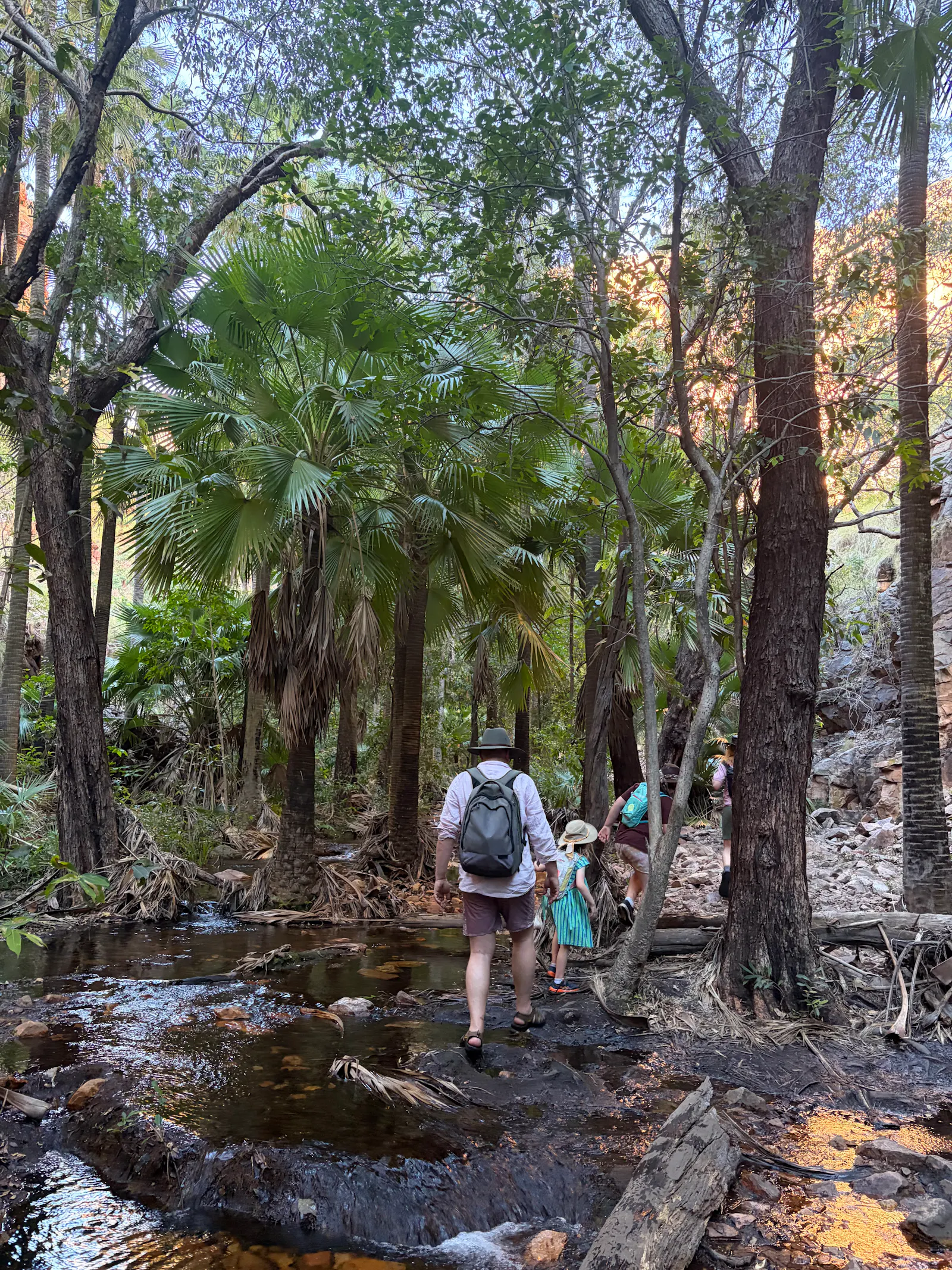 Walking in through the rainforest like vegetation. 