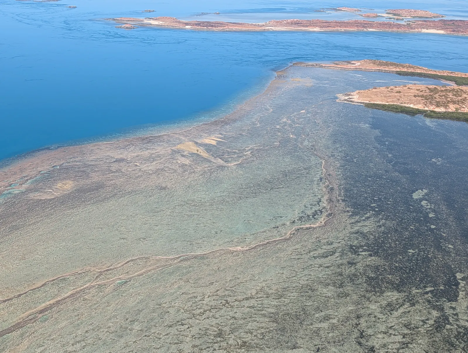 There were whole areas that were underwater reefs at high tide but mud flats or rocky platforms at low tide.