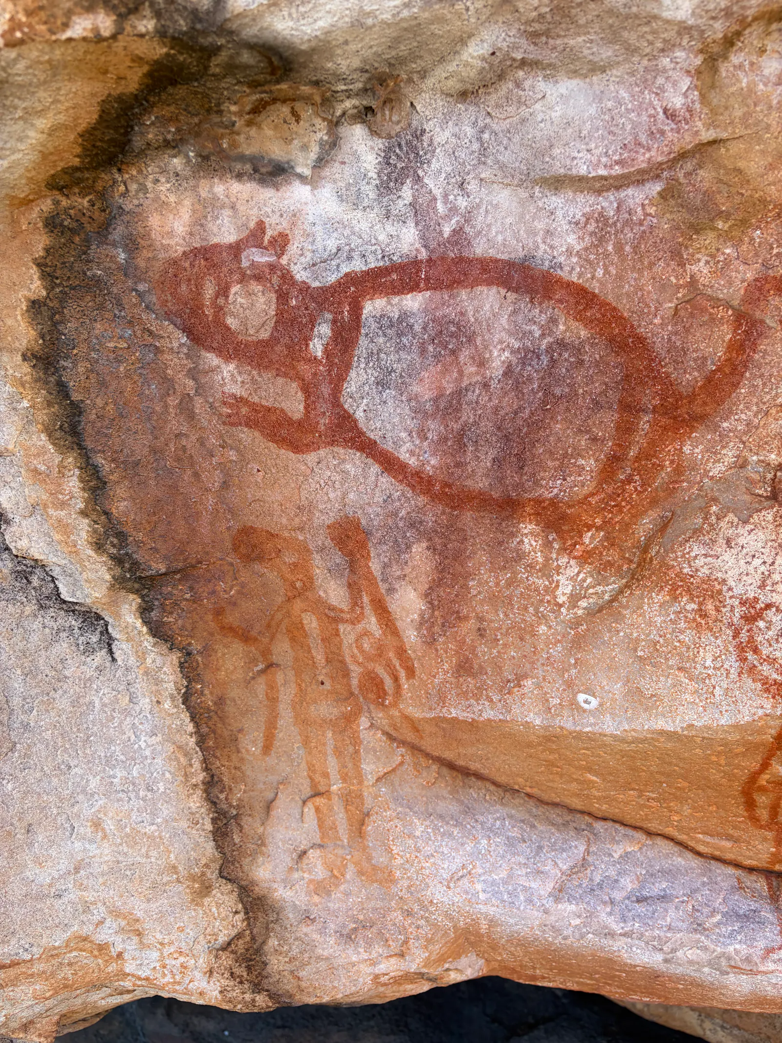 In the bottom left corner is a small Gwion Gwion spirit, and another one behind the newer painting of a red kangaroo. 
