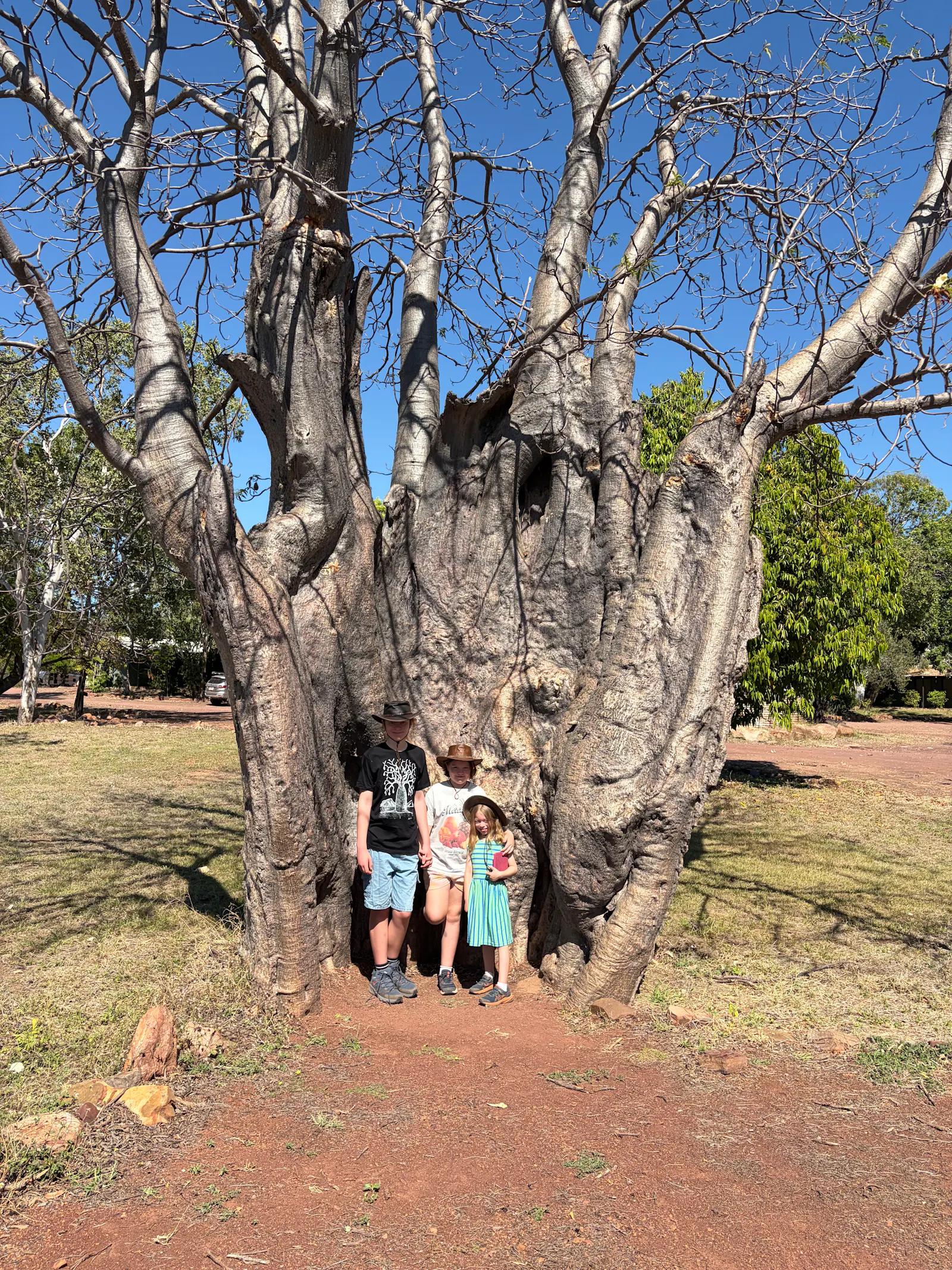 The kids in the old broken boab tree. 