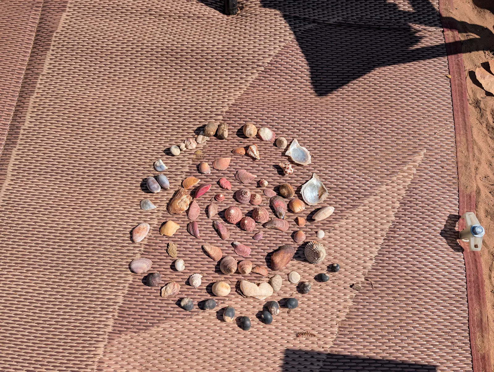 Nora and Josie collected some shells from the beach and created this beautiful mandala, which just so happened to match the colour theme of our floor mat perfectly!