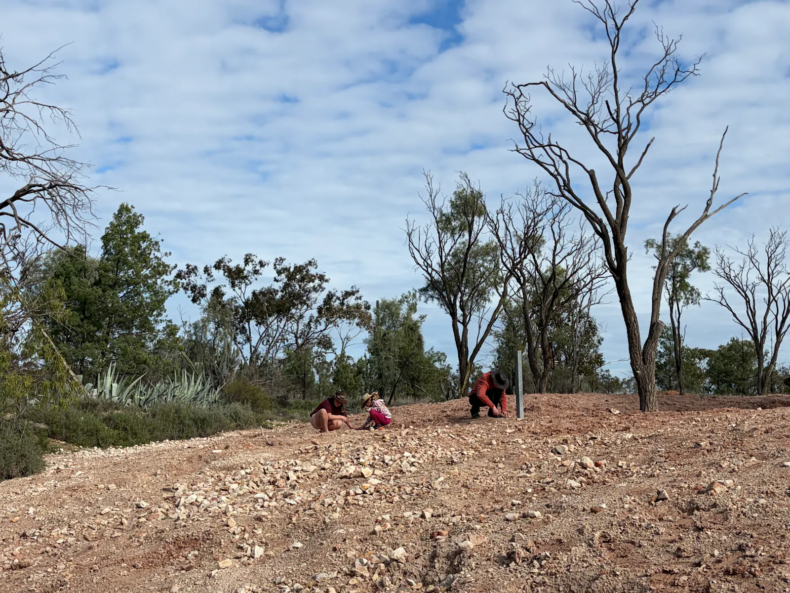 Fossicking for opals - Toby and Josie just collected a big collection of pretty rocks each, while Nora found 2 very small slivers of opals ⛏️💎