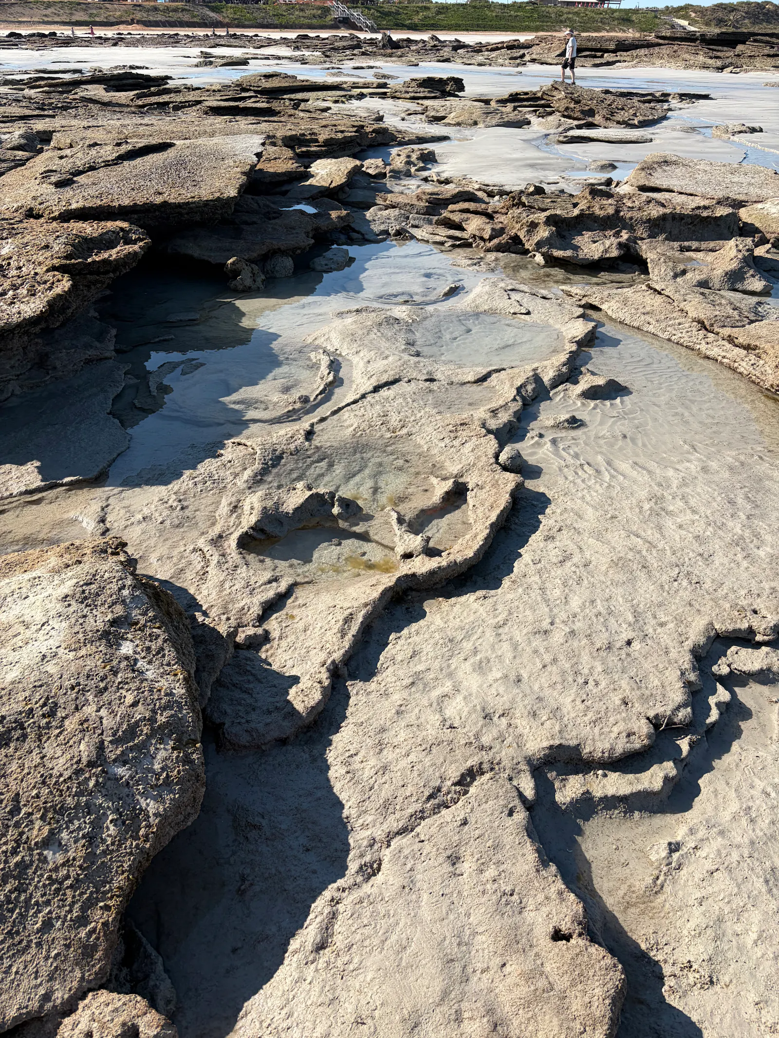 and can be seen in long series of tracks that show a herd of the dinos walked along the rocks millions of years ago. 