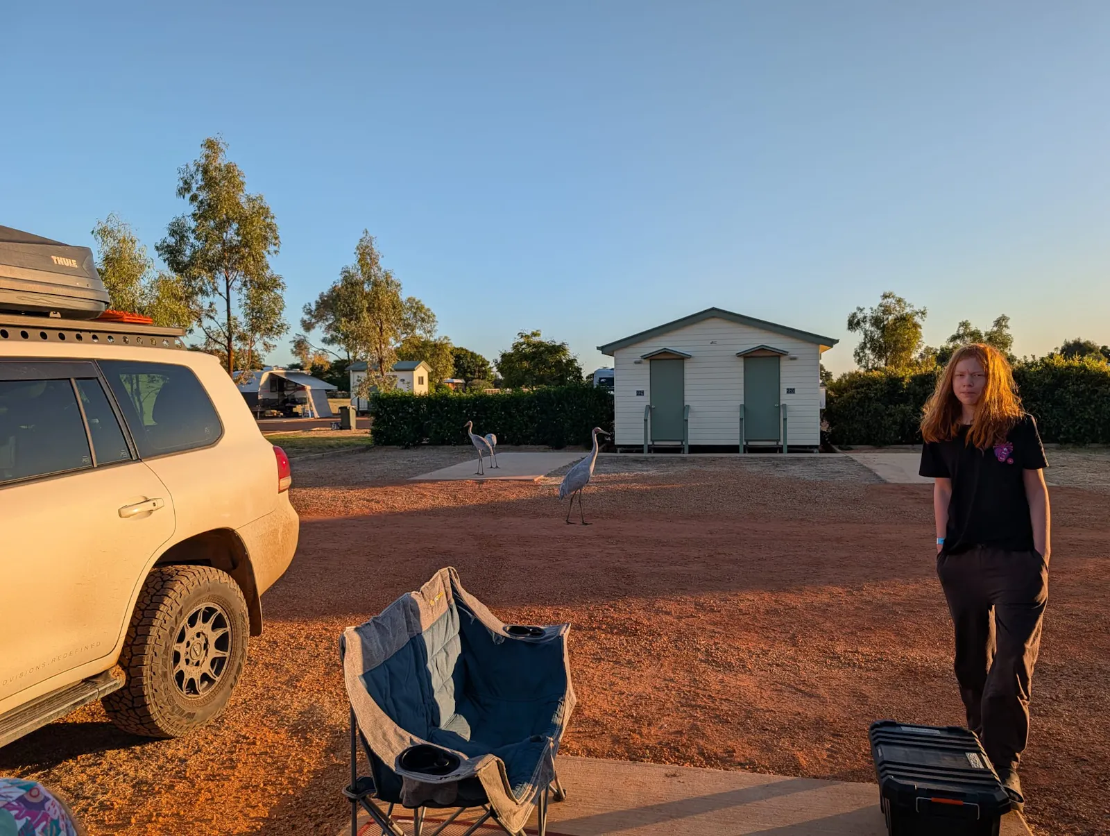 We also took to strolling around the park in the evening to enjoy the light of the golden hour, along with the other residents of the park including these brolgas 😍
