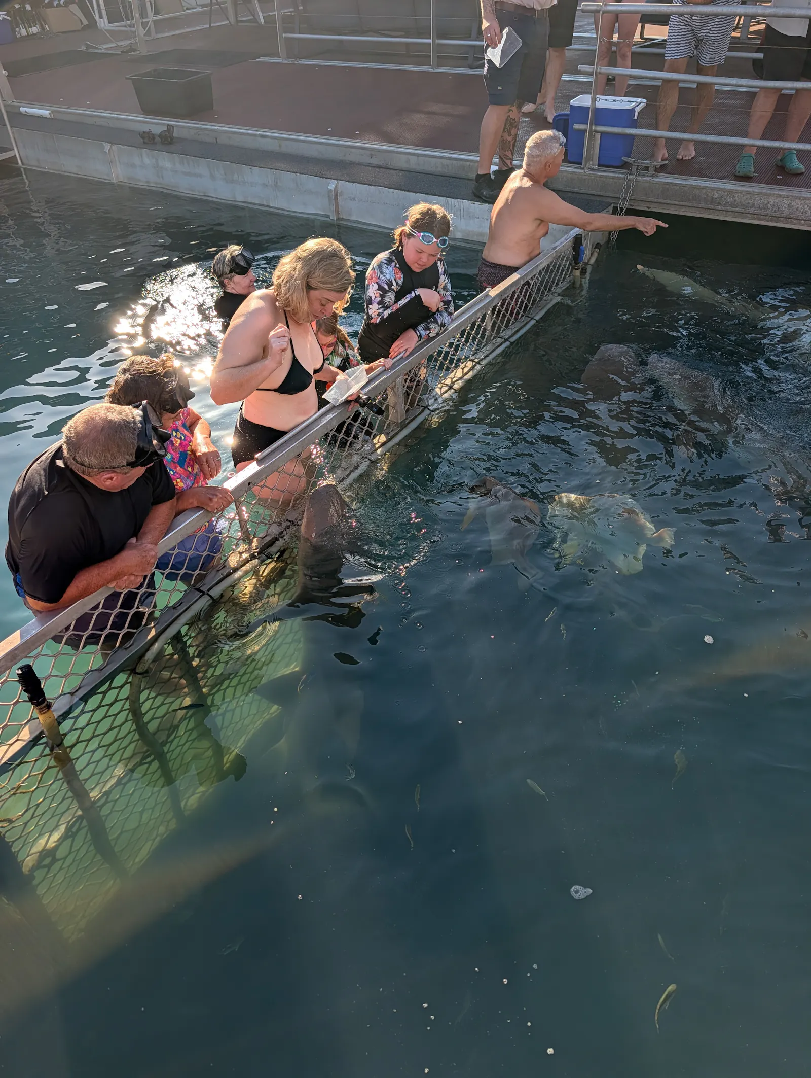 Here's me feeding the sharks - they do this weird popping noise when they eat...