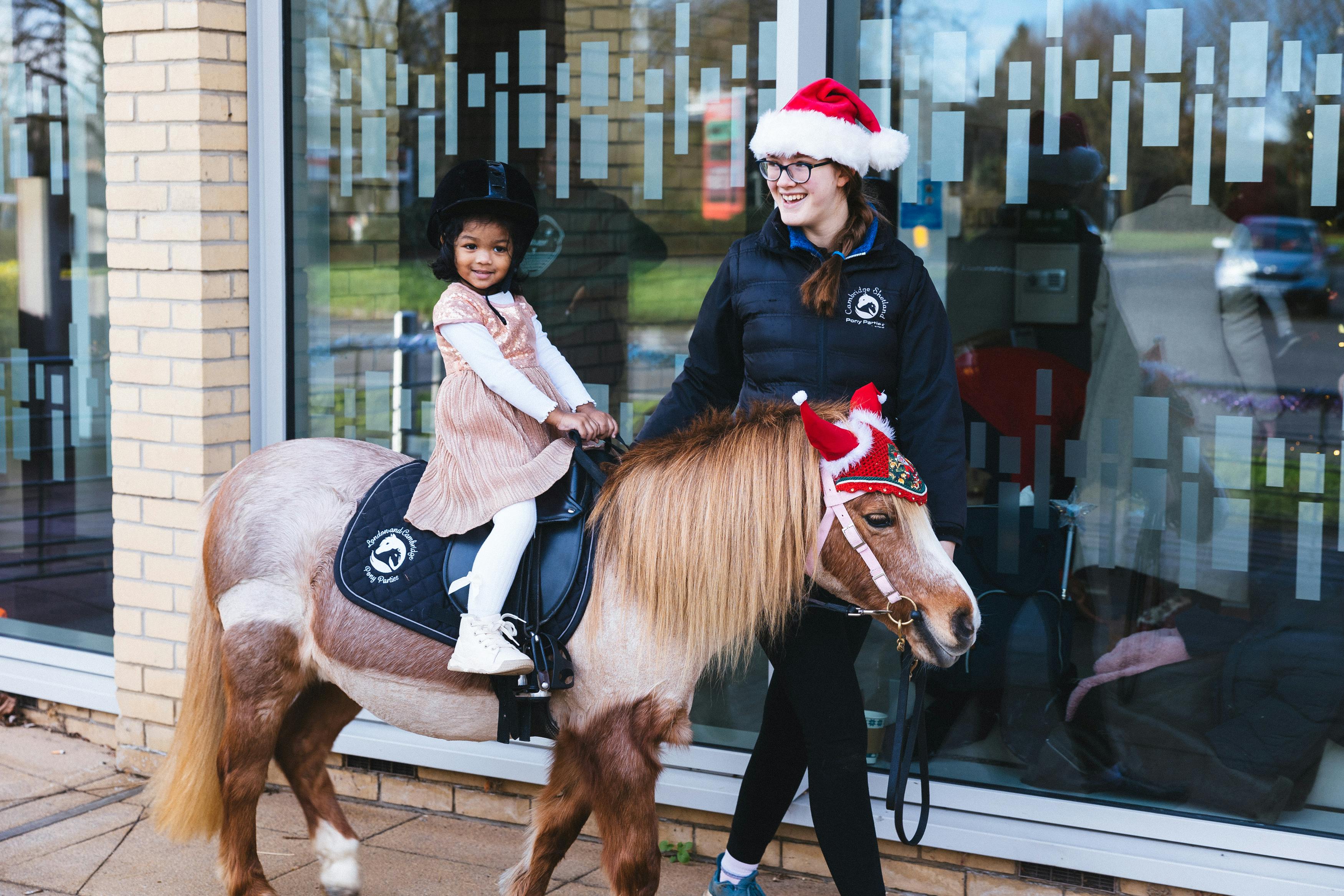 An Image needing an alt text