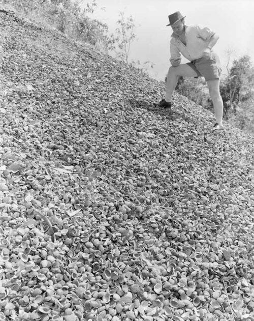 Shell midden at Weipa, Queensland. Copyright: Commonwealth of Australia (National Archives of Australia) 2019.