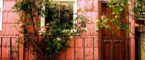 Photo of the exterior of a pink wooden house with a rose bush in front