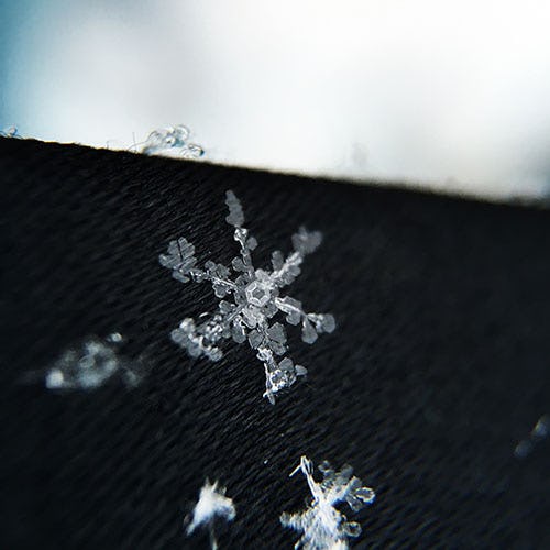 A photo of fragile white snowflakes