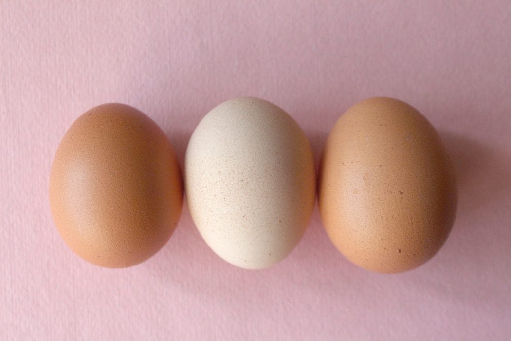 A photo of three eggs lying side by side 