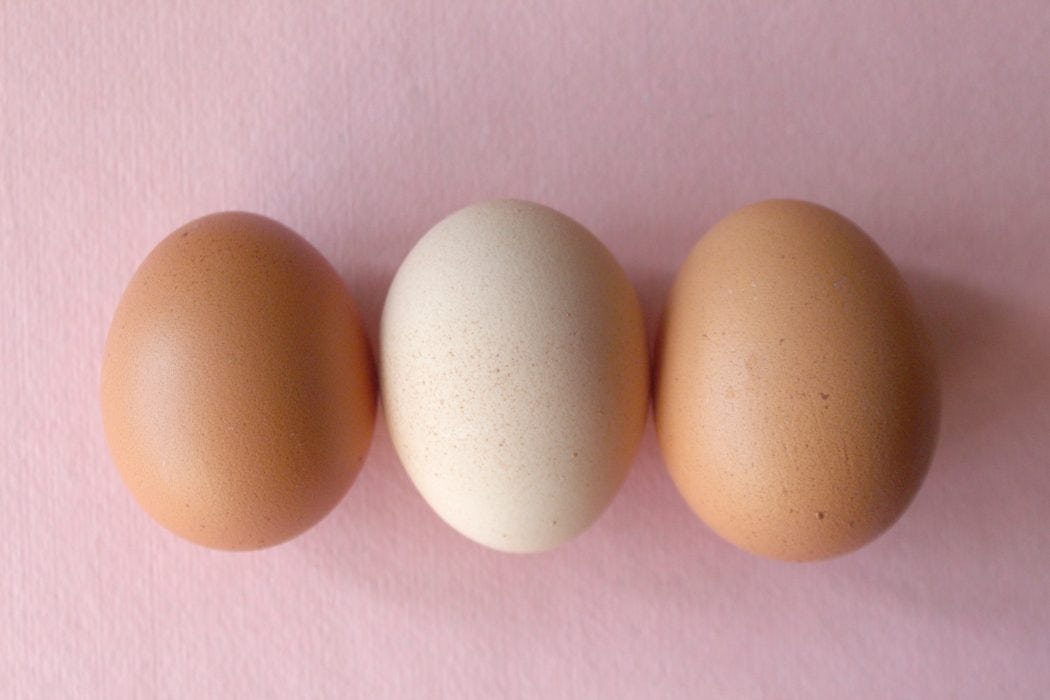 A photo of three eggs lying side by side