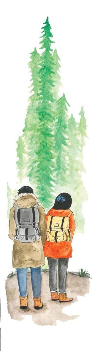 Two hikers stand before tall pines