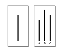 line judgement task