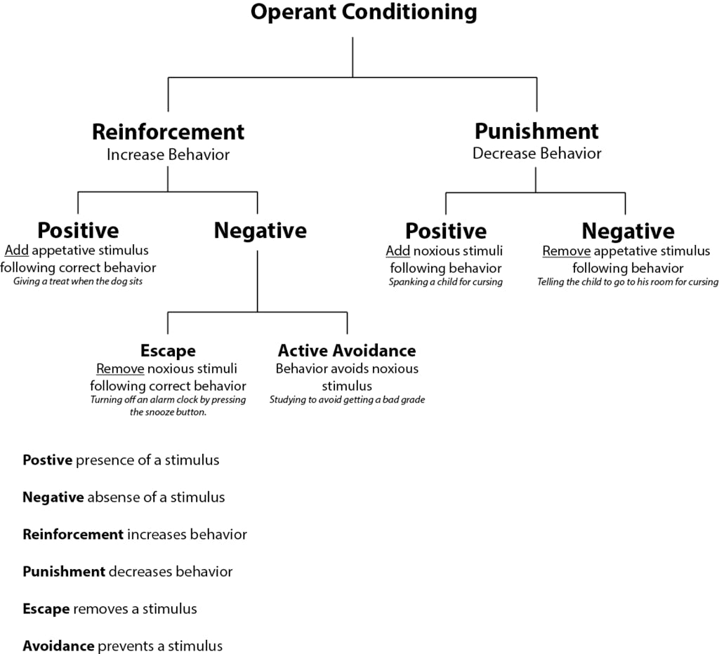 Reinforcement theory framework