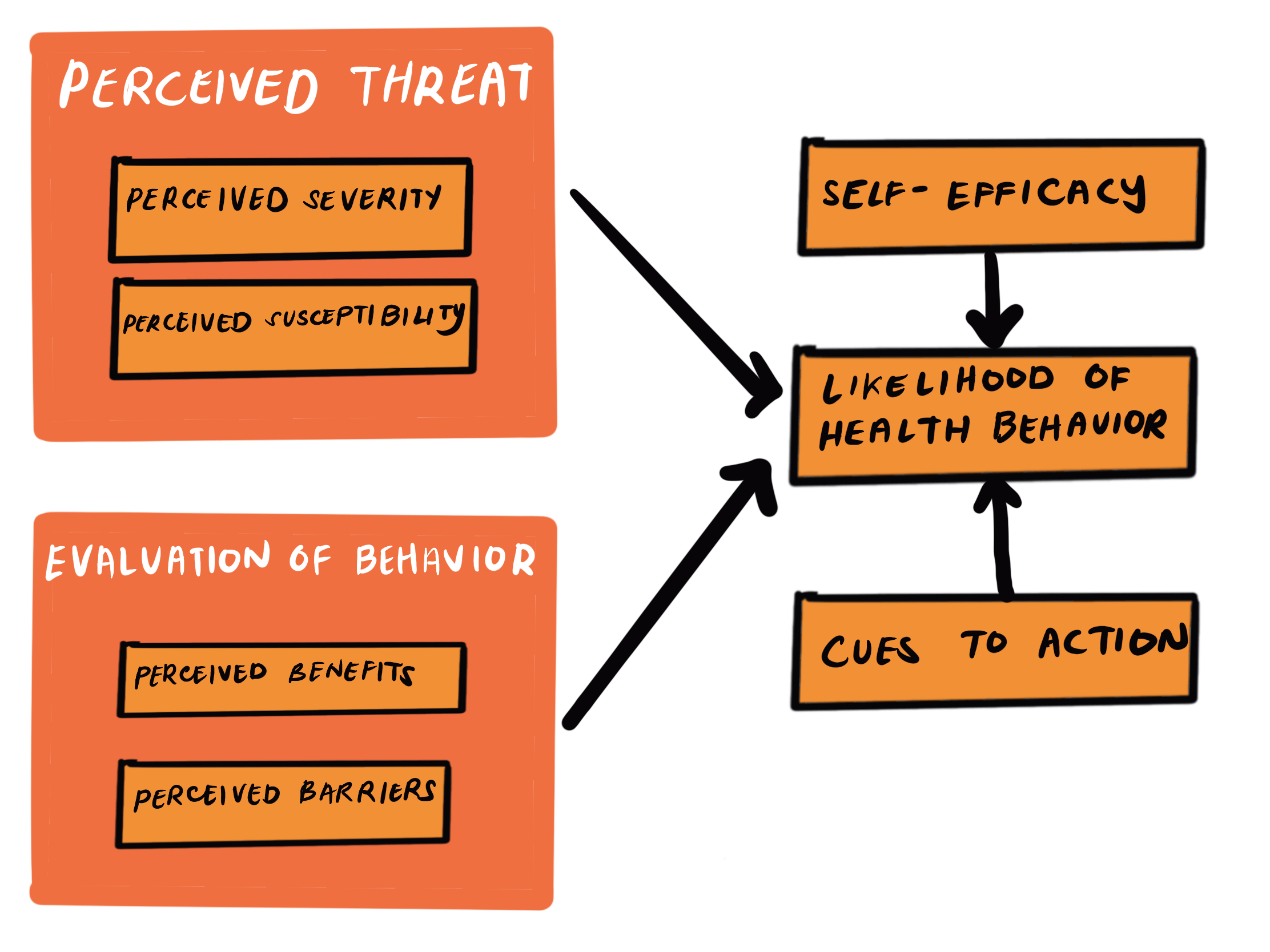 Health Belief Model