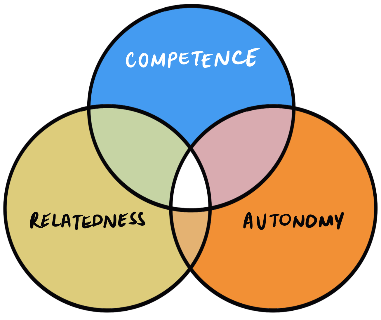 Self-Determination Theory Model